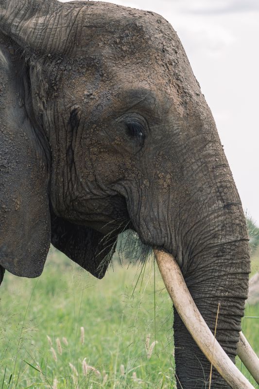 Que faire autour de Pangani ? 
