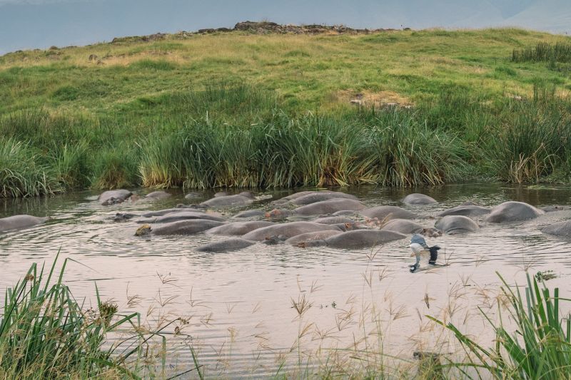 L’histoire du Parc National de Katavi 