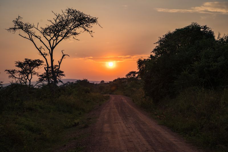 Vivre un safari de nuit dans le Parc National du Lac Mburo