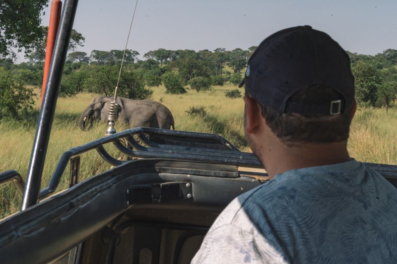 Nos conseils éthiques pour un safari respectueux