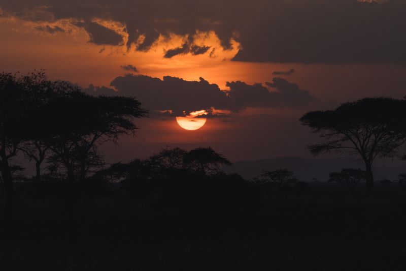 Infos pratiques pour visiter le parc national du Ruaha