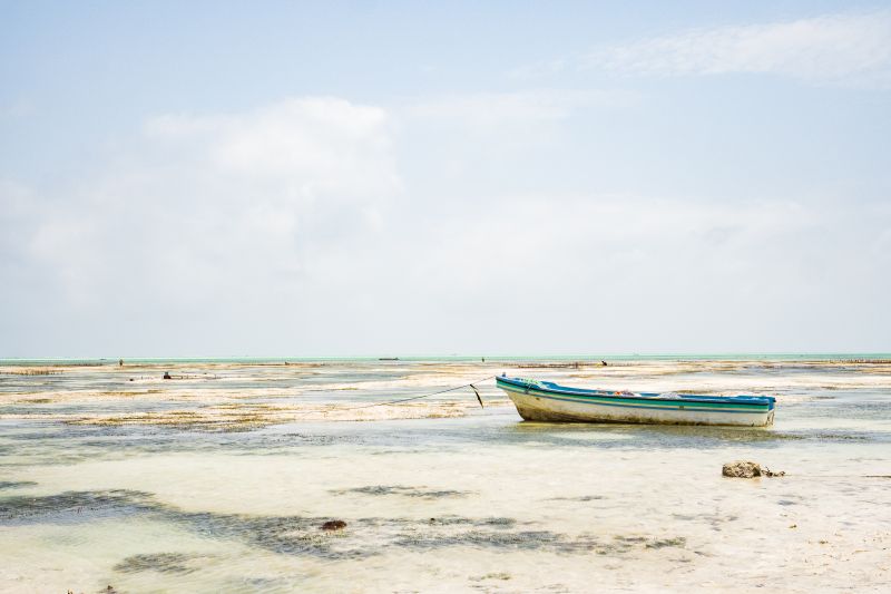 L'histoire de Pangani