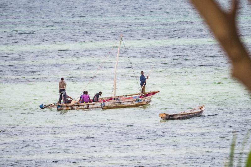 Pangani 