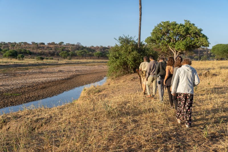 Quelles sont les activités à faire dans le Parc national de Nyerere ?