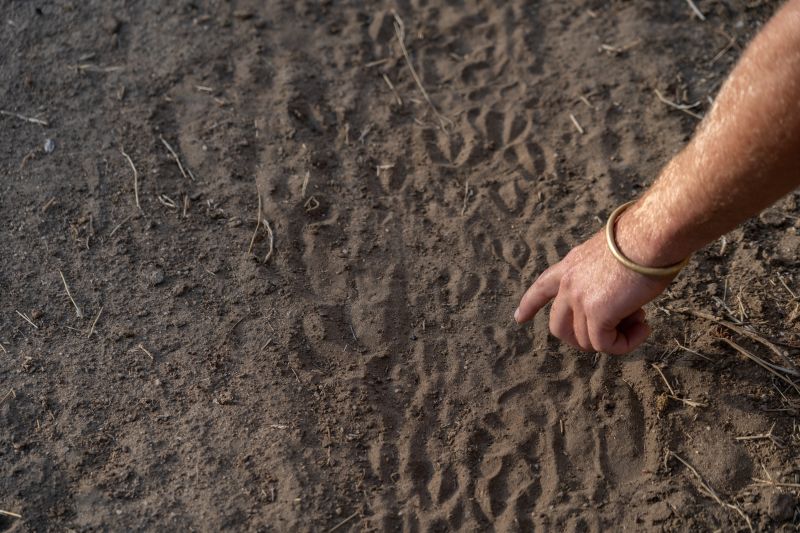 Faire un safari à pied dans le Parc de Katavi