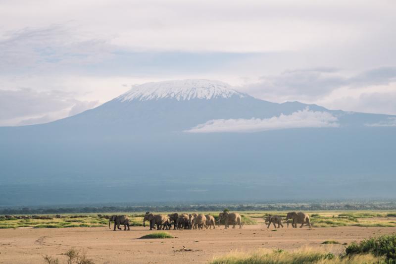 Kilimanjaro
