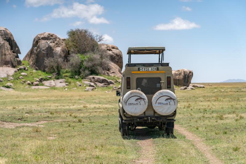 Le Parc National du Serengeti