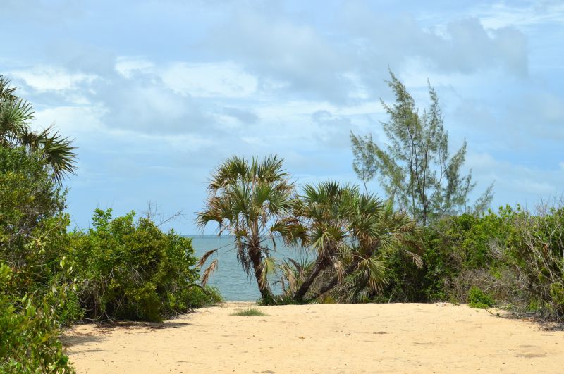 Pourquoi inclure Dar es Salaam dans votre séjour en Tanzanie ?