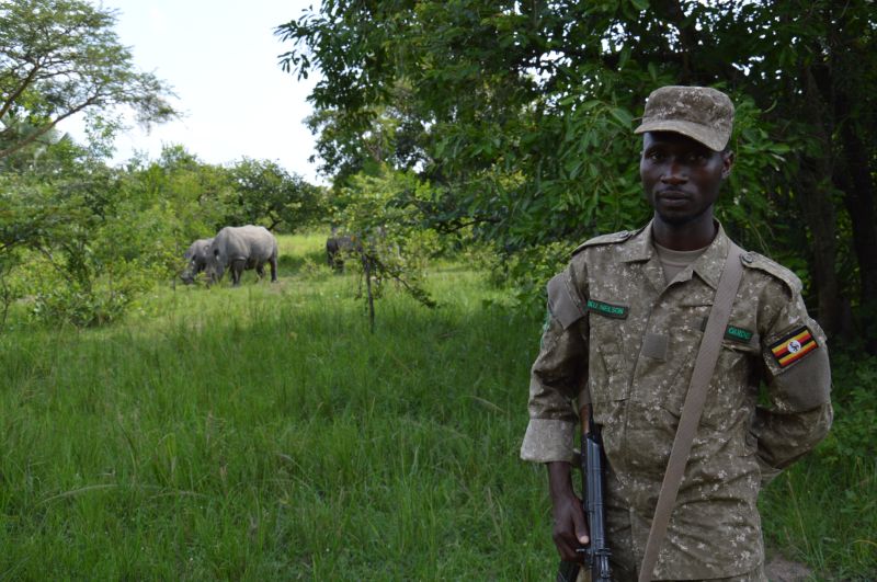 Des guides expérimentés pour un safari unique