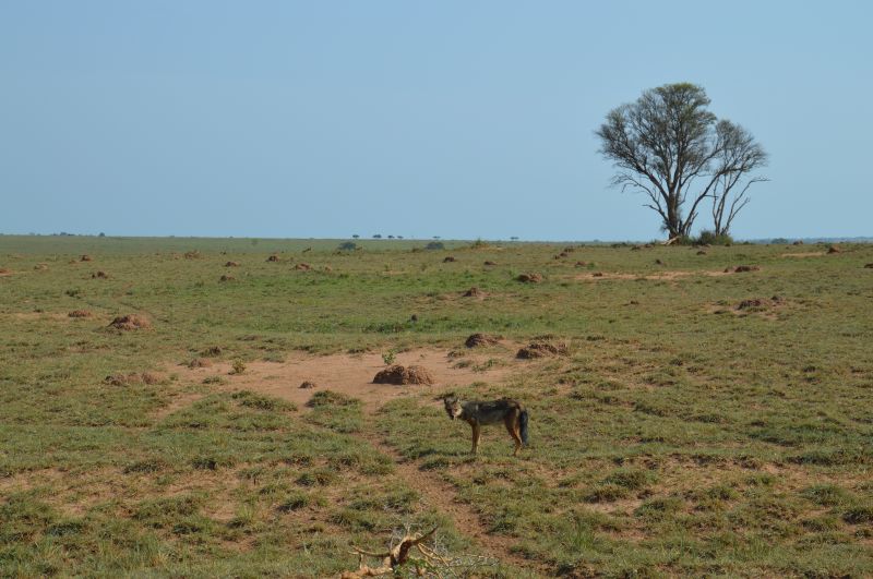 Quelles sont les différentes zones du Parc national Murchison Falls