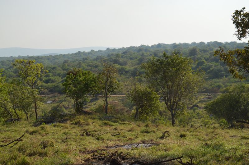 L’histoire du Parc national du lac Mburo