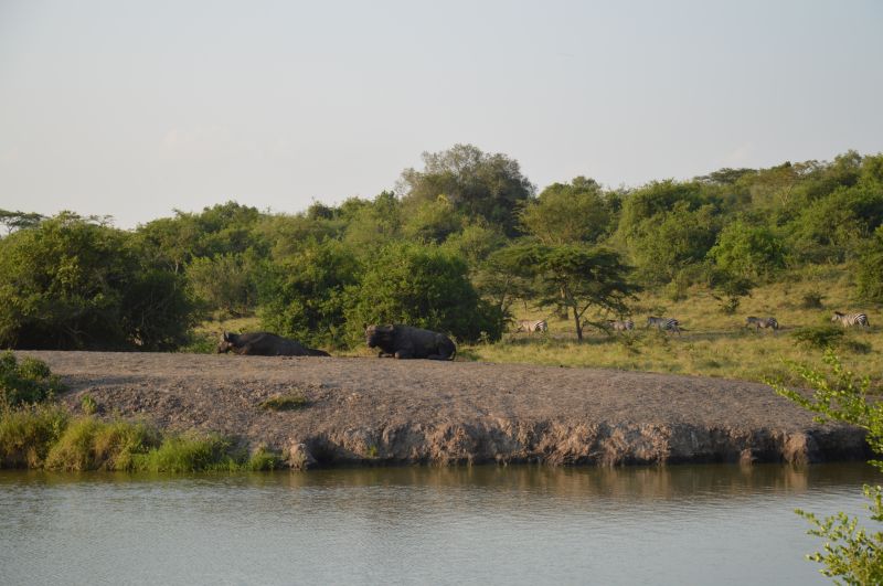 Faire une excursion en bateau sur le lac Mburo 