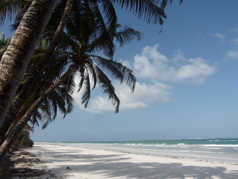Diani Beach, un paradis encore préservé
