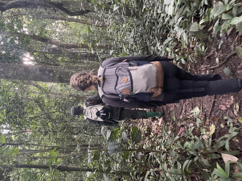 Faire un trekking pour observer les gorilles à Bwindi