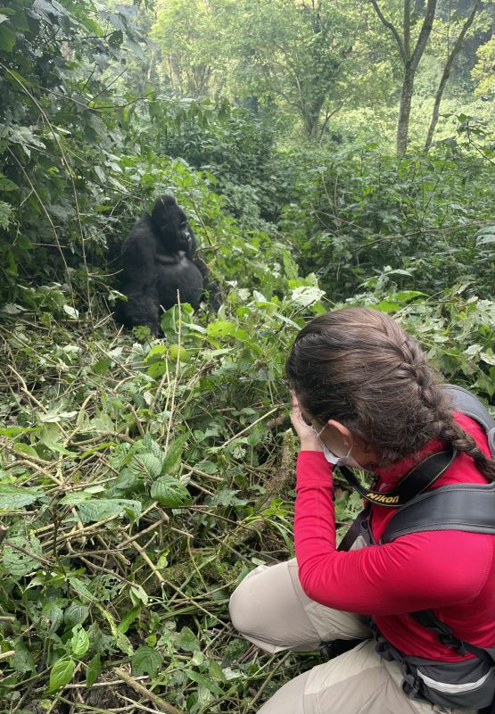 Combien de temps est-il possible de rester avec les gorilles à Bwindi ? 