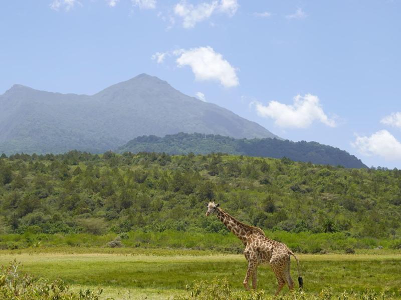 Mont Meru