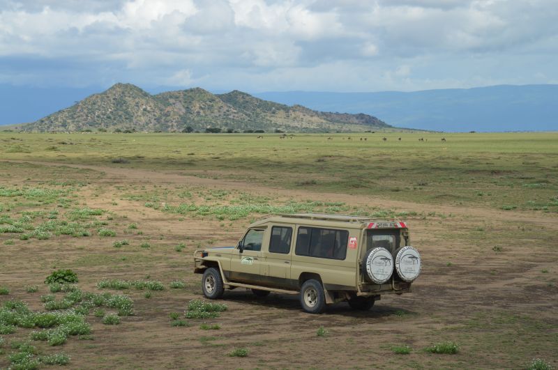 Conseils pratiques pour visiter les Gorges d’Olduvai