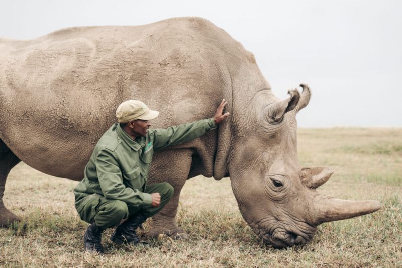 Une expérience de safari différente