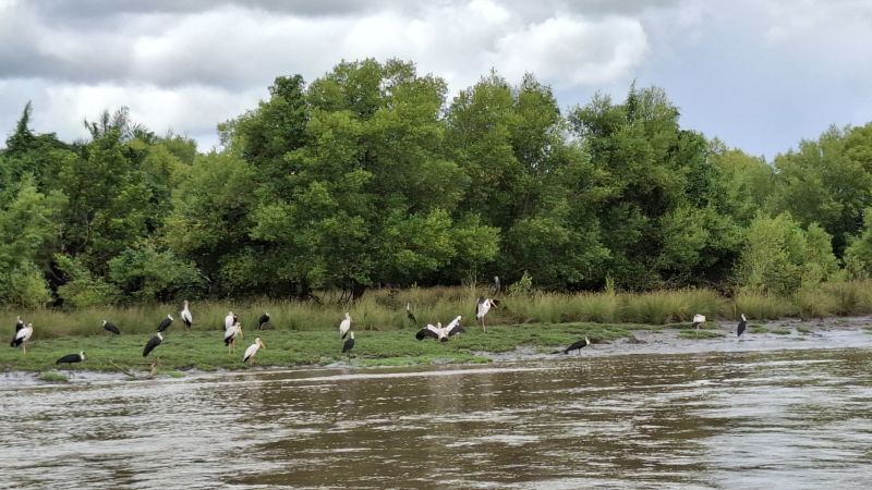 Le Parc National de Saadani, une expérience authentique