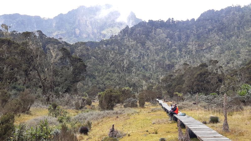 Que faire à proximité des montagnes Rwenzori ?