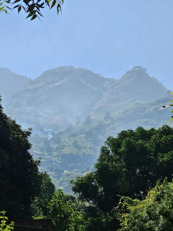 Que faire dans le parc des Udzungwa ? 