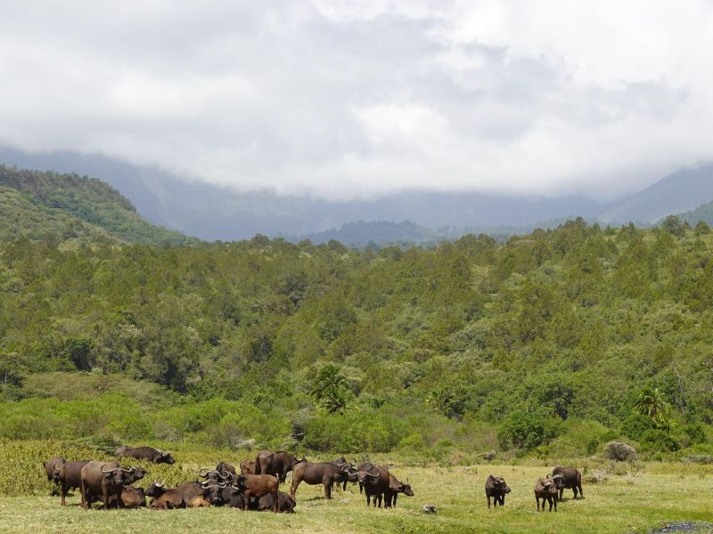 Infos pratiques sur le Mont Meru
