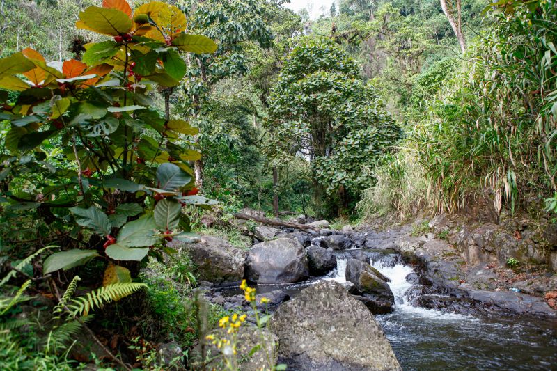 La découverte des Cascades de Materuni