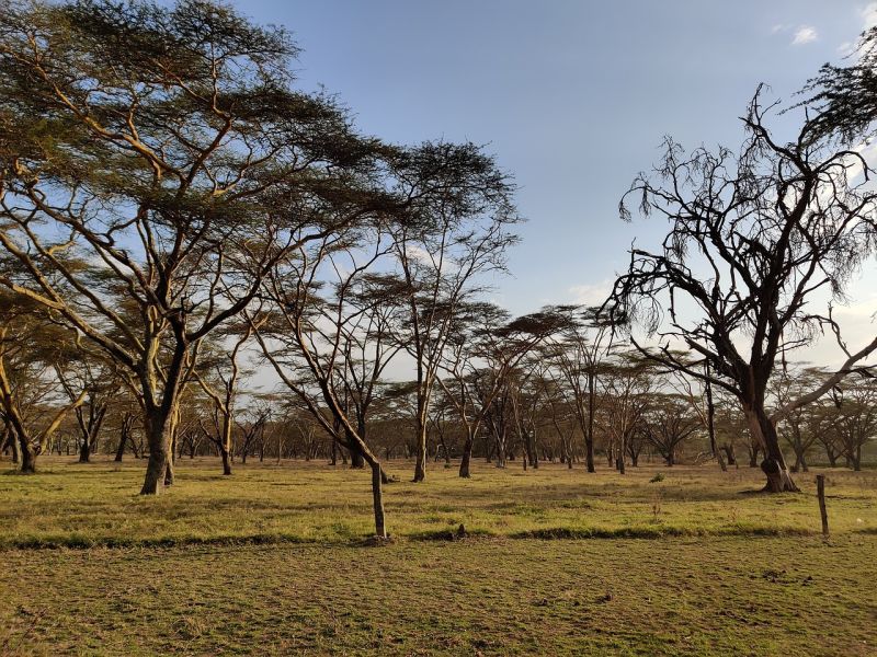 Présentation du Lac Naivasha au Kenya