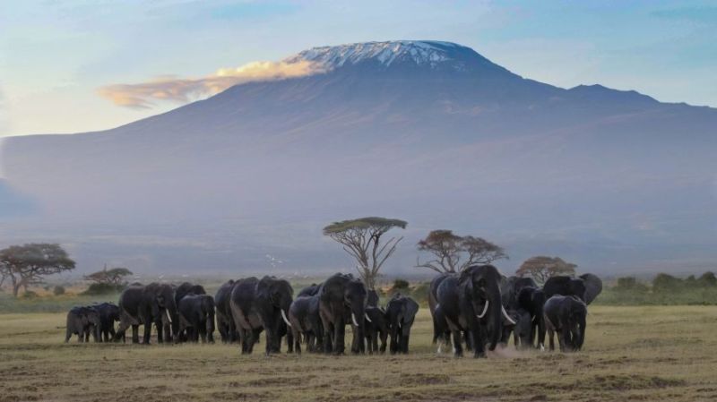 Observer le Kilimanjaro sans se fatiguer : nos meilleurs spots