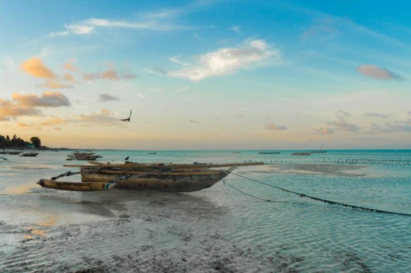 L'île de Pemba