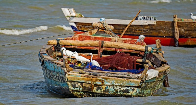 Activités natures à Bagamoyo 