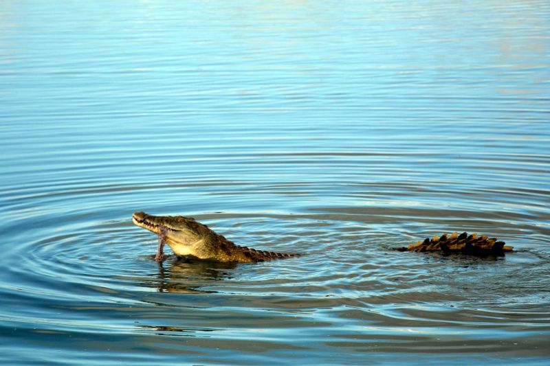 Infos pratiques pour visiter le lac Eyasi