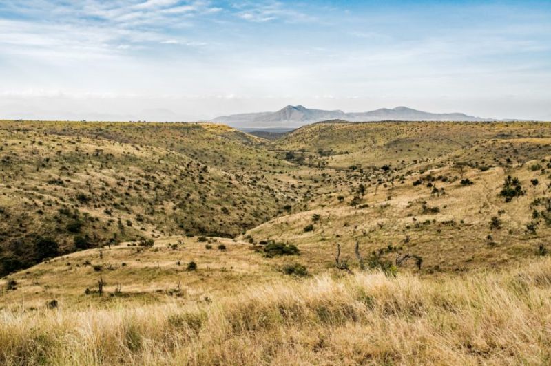 Le peuple Samburu