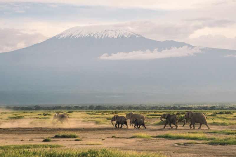 Que faire à Amboseli au Kenya ?