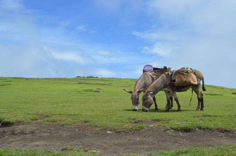 L'extrême Nord d'Usambara en Tanzanie