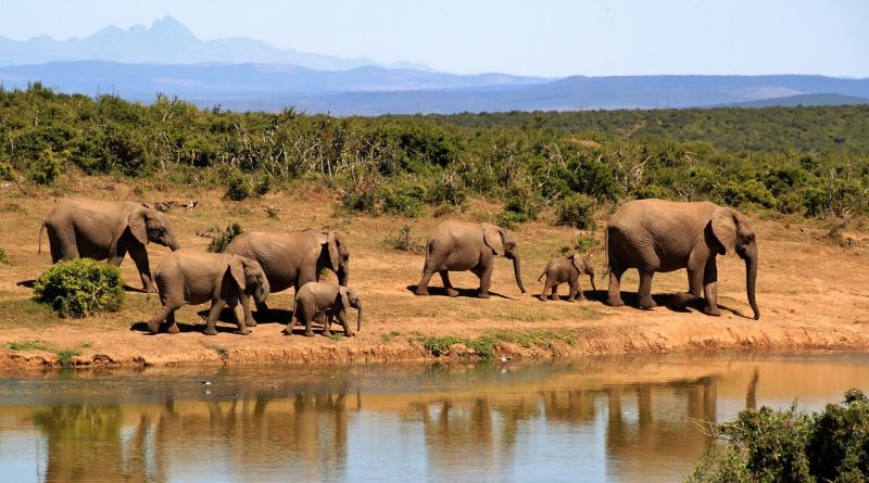 Quelle est la meilleure période pour visiter le sanctuaire ? 