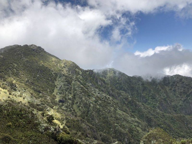 Lushoto et l’Ouest des montagnes Usambara