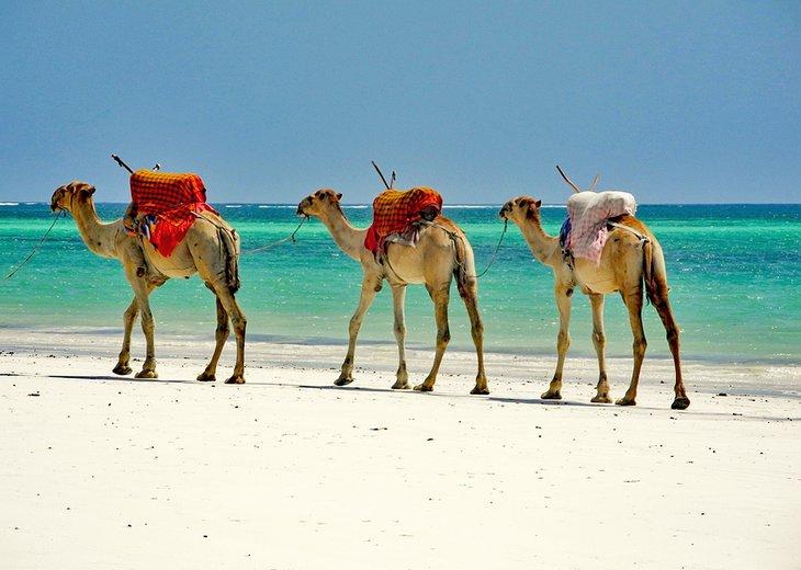 Mombasa