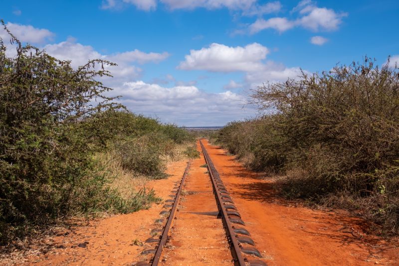 Tsavo, retour sur l’histoire de ce Parc National