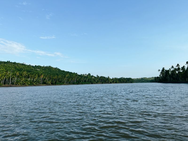 La rivière de Pangani