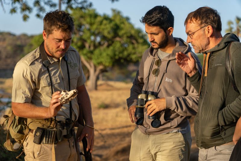 Activités dans le parc Tarangire en Tanzanie