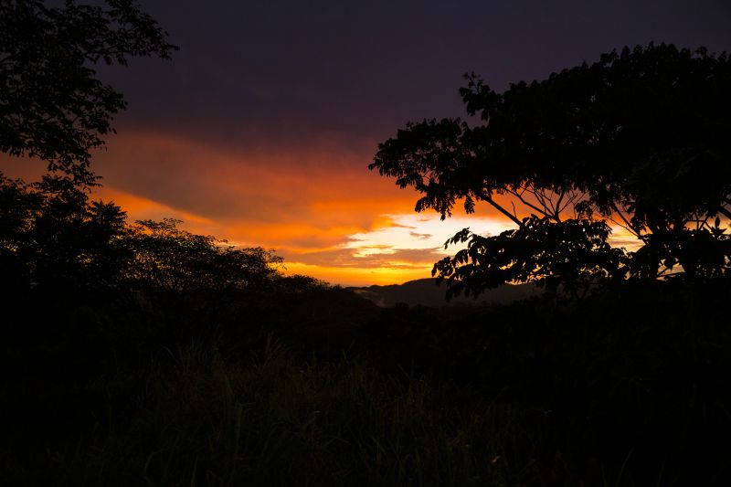 Faire un safari de nuit au cœur du sanctuaire
