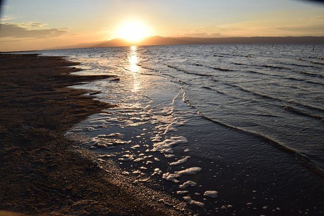 Un écosystème unique autour du Lac Eyasi 