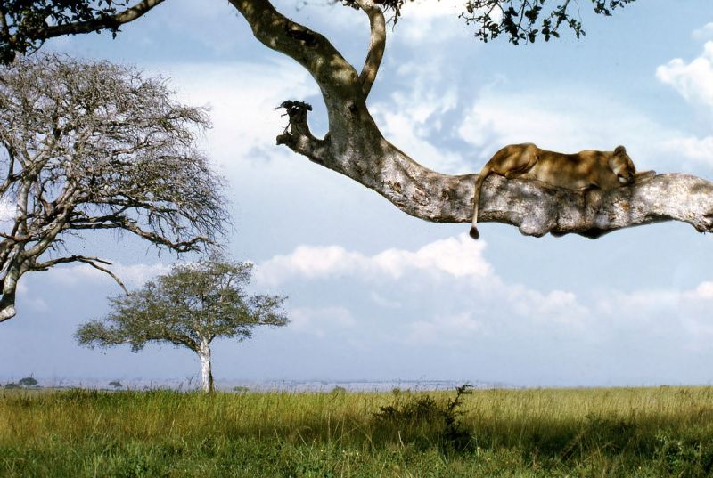 Quels sont les endroits à visiter autour du Parc de Kibale ?