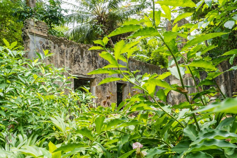 Découvrir la vie locale de Mafia Island