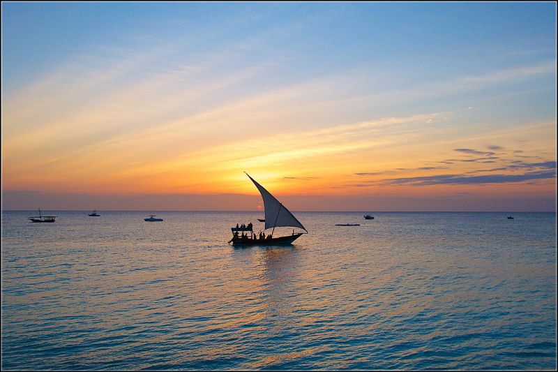 Une escale verte en plein cœur de Zanzibar