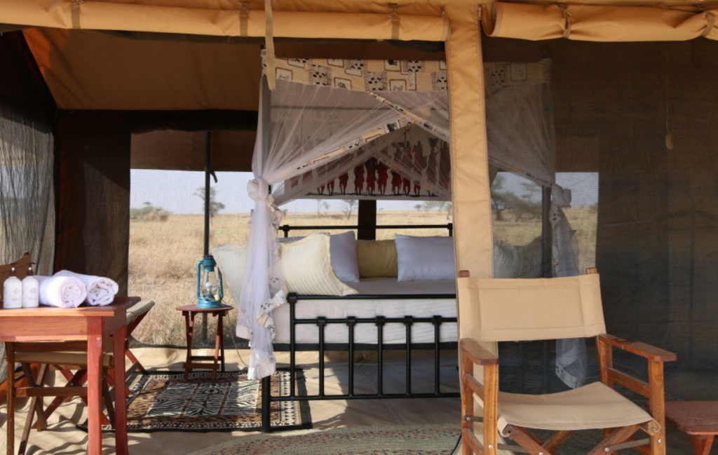 gnu-migration-camp-1024x649.png