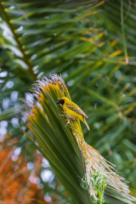 grant-durr-ch-2pjsqpry-unsplash-567x850.jpg