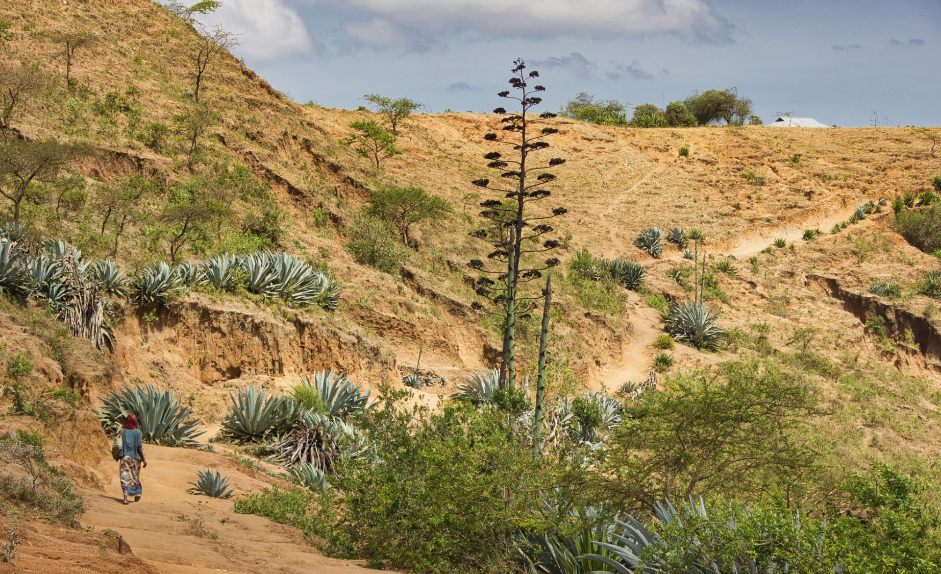 Notre agence de voyage en Tanzanie