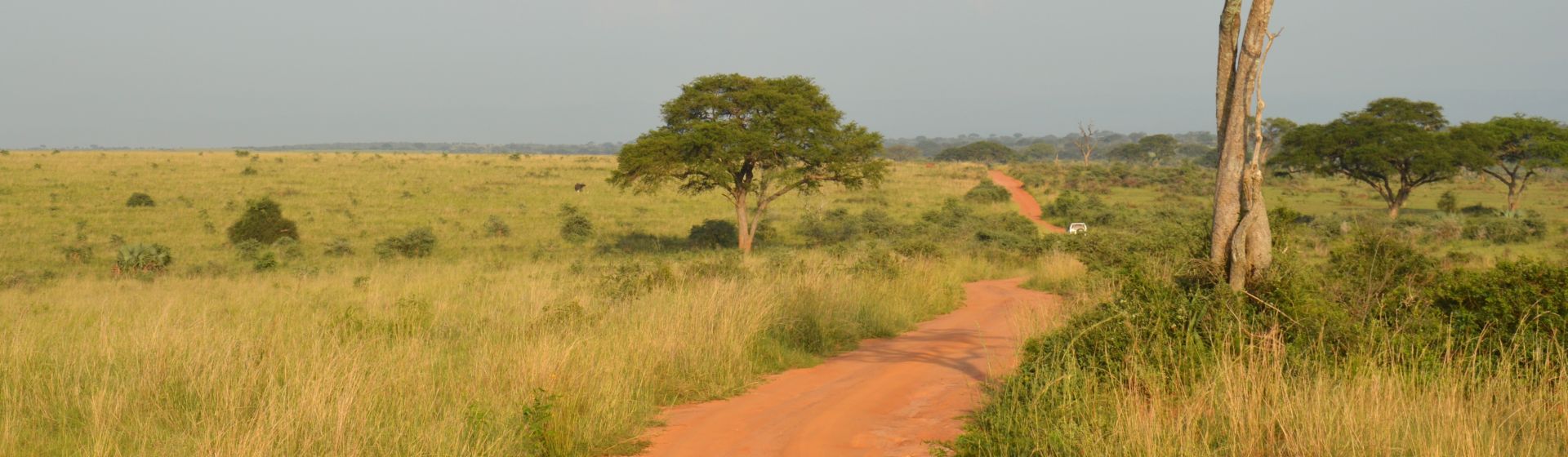 Notre agence en Ouganda